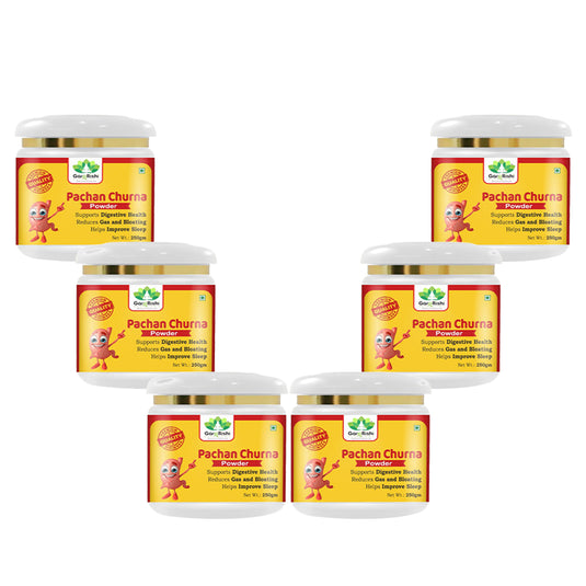 Gargrishi Ayurveda's Pachan Churna | 250g – Powerful Ayurvedic Digestive Remedy for Gas, Bloating, Acidity & Constipation | Natural Herbal Formula for Gut Health, Better Digestion & Restful Sleep