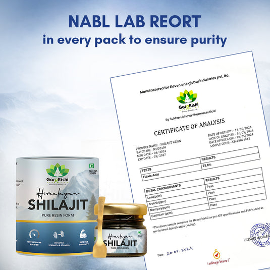 Himalayan Shilajit Resin | Stamina, Vigour, Vitality & Energy Booster